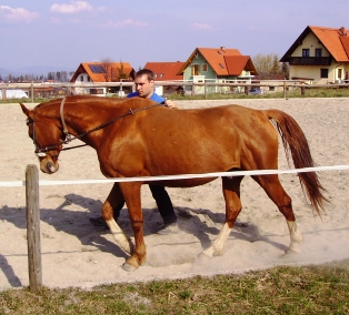 AranyBA3