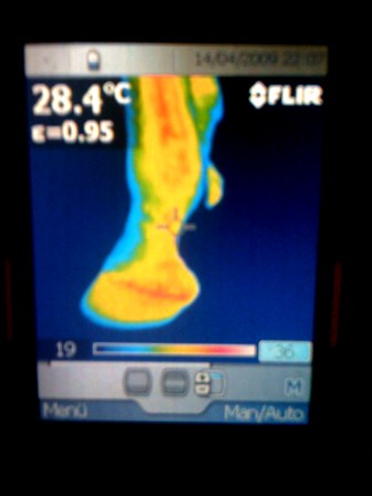 FLIR1